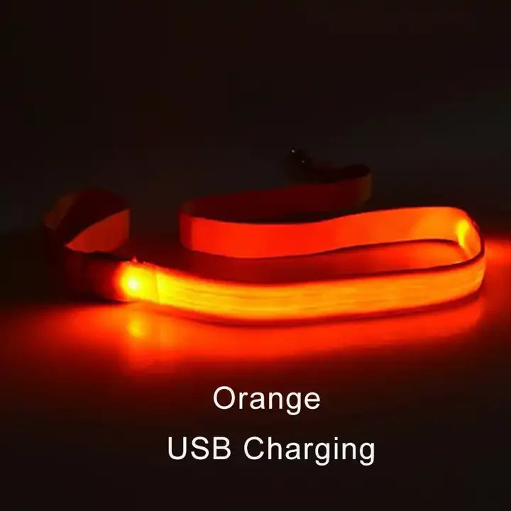 "LumiWalk™ - Correa LED de Seguridad Recargable"