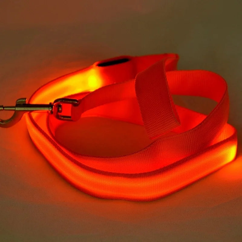 "LumiWalk™ - Correa LED de Seguridad Recargable"
