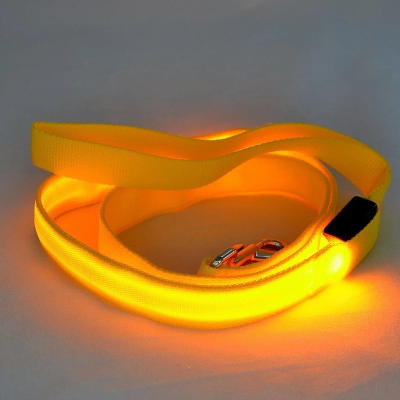 "LumiWalk™ - Correa LED de Seguridad Recargable"