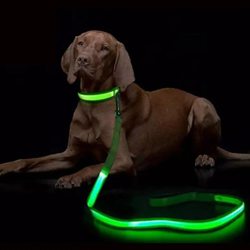 "LumiWalk™ - Correa LED de Seguridad Recargable"