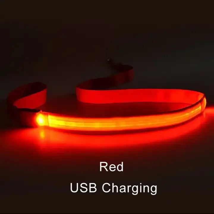 "LumiWalk™ - Correa LED de Seguridad Recargable"