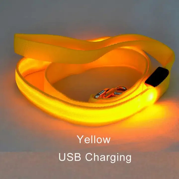 "LumiWalk™ - Correa LED de Seguridad Recargable"