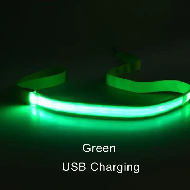 "LumiWalk™ - Correa LED de Seguridad Recargable"
