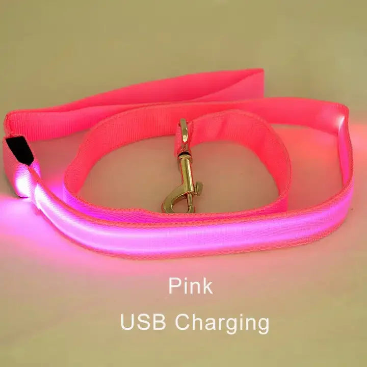 "LumiWalk™ - Correa LED de Seguridad Recargable"