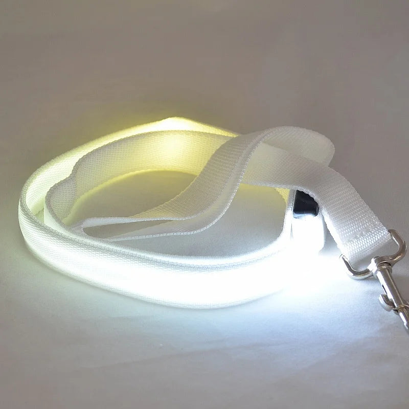 "LumiWalk™ - Correa LED de Seguridad Recargable"