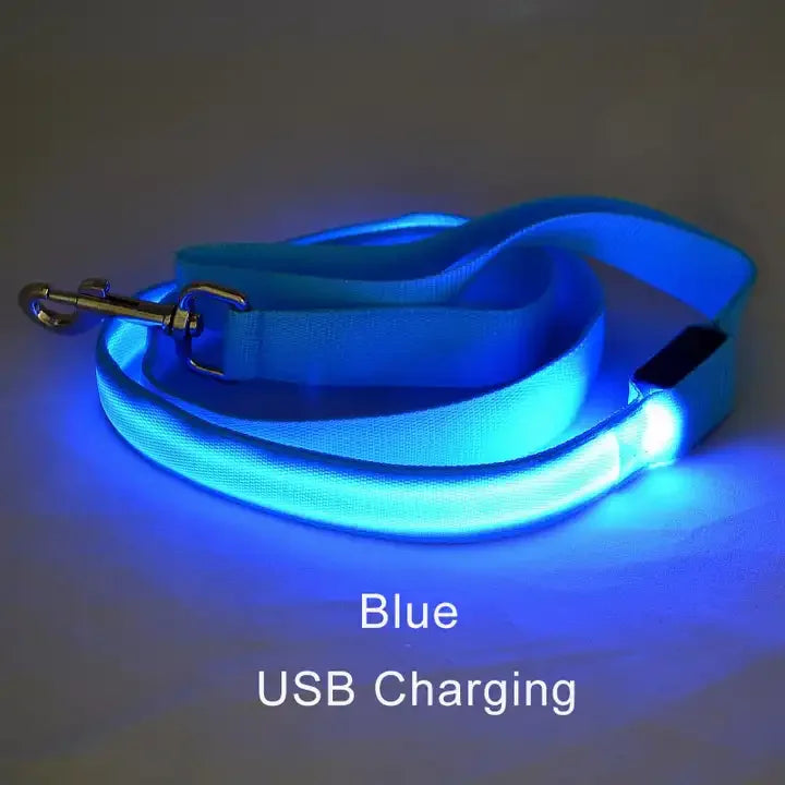 "LumiWalk™ - Correa LED de Seguridad Recargable"